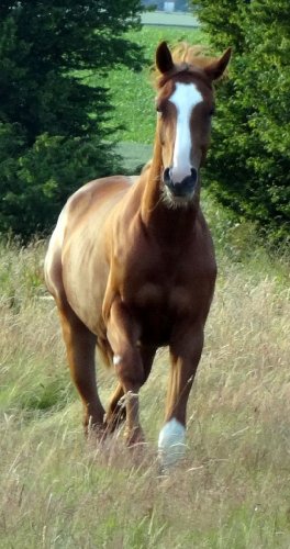 grand bébé qui se muscle bien!