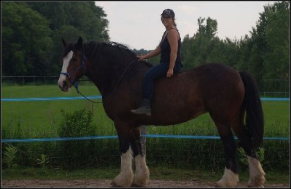 Amitié, confiance, relation <3 J'aime cette jument plus que tout...