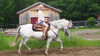 trot 