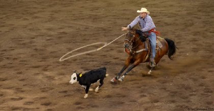 festival country st-antonin 2015