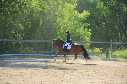 Concours dressage 2015 avec Boby Lee