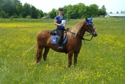 Sur ma jument au rallye du Baluchon, 27 juin 2015. :)