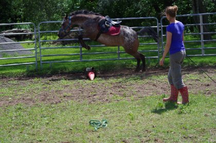 Overjump? Où ça!?