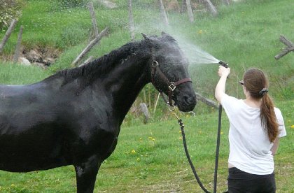 Dora apprécie son moment préféré de la douche! :)