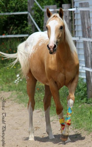 DZ Miss Moon A.K.A. CupCake ! 