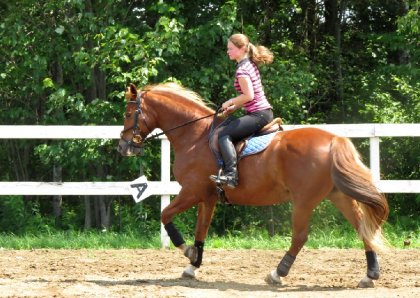 Un peu d'entrainement sur ma jument, juillet 2015. :)