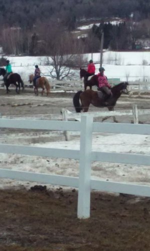 Le premier cours de 2015 en compagnie de mon valeureux poney...