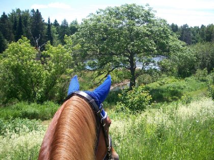 Sur ma jument au Rallye du Baluchon, quel beau paysage! :) Juin...