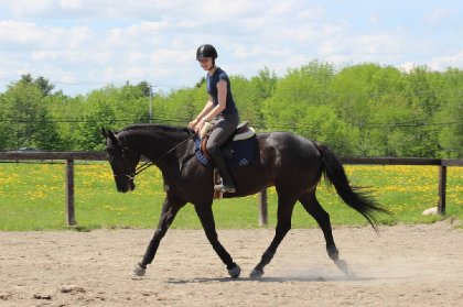 flatwork
