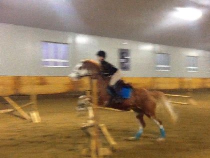 Vertical 2p3 avec mon bbyyyy(Lucky) Cette photo date d'hiver