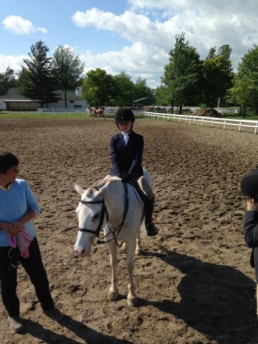 How can I forget these magical moments? -Concours Hippique du...