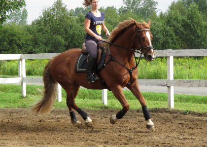 Entrainement sur ma jument. :)
