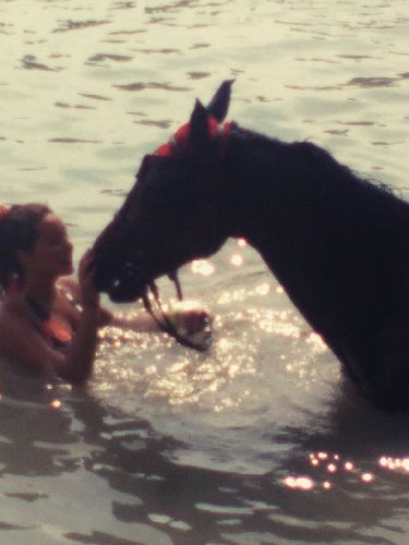 la première fois de mon doudou dans l'eau