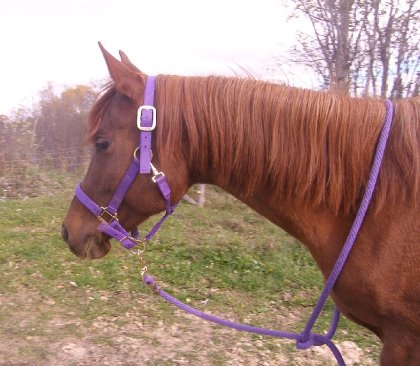 Ma belle cocotte&#128149;