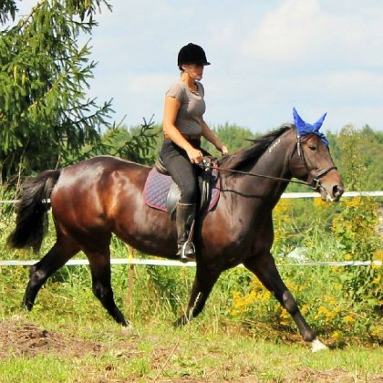 en action avec ma belle standardbred :) 