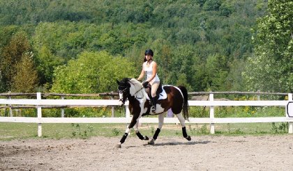 Falco, warmblood de 9ans, mais c'est un gros bébé <3