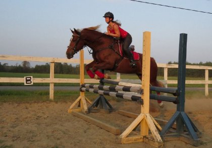 Entrainement au sauts sur ma jument, j'ai bien hâte aux concours...