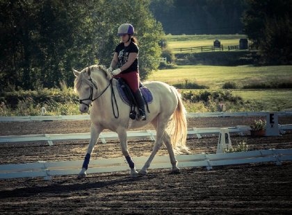 Rosie-JEQ 2015 