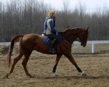 Lucie avec Scaramouche