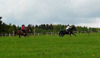 lucky-moi et dora et mimi-dora  galopant dans la belle campagne...