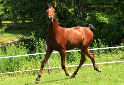 mon gros bb d'un an! Photo de Laurie Néron!