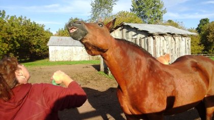 Ma grosse au retour d'une rando.