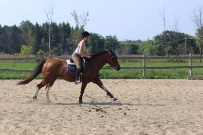 &#128014;&#128158;