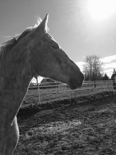 Ma grosse qui prend du soleil &#10084;&#65039;