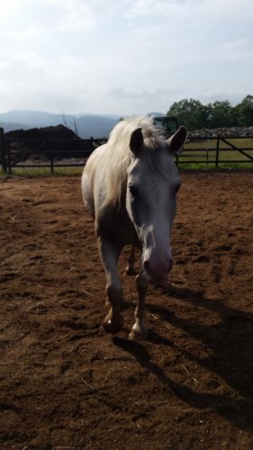 Turbo :)