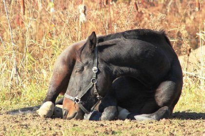 Doux moment de repos automnal <3