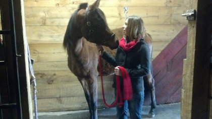 Ma nouvelle pouliche de 2 ans! Cybelle