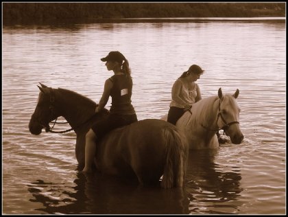 Baignade avec nos chevaux, été 2015.