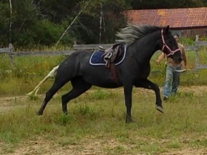 Leelou longe été 2015