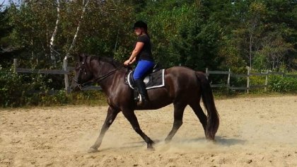 Rany Entrainement été 2015