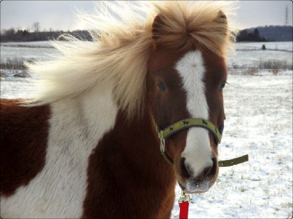 Il est tu assez beau :) <3