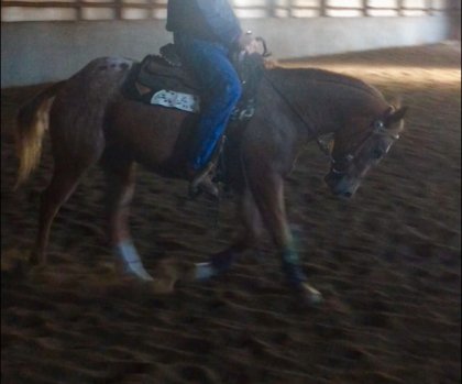 Premiere monte pour mon coatch sur mon poupou :) 