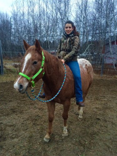 Première monte sans selle au licou avec mon poulain sky <3 , je...