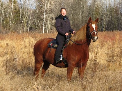 Une belle journée pour se promener en gros poney poilu!...