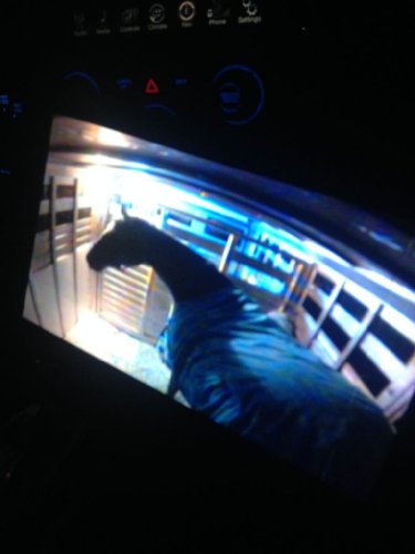 sous haute surveillance vers Toronto