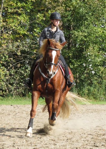 Entrainement la veille du Fun Show de Napierville! 03-10-2015. :D