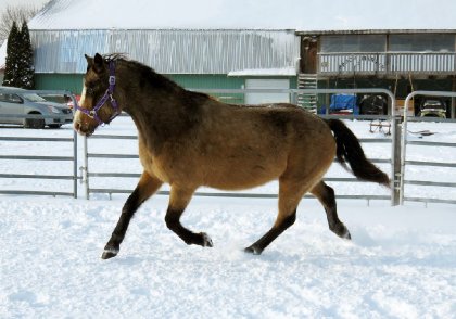 Flashback hiver 2015 en attendant de belles photos dans la neige...