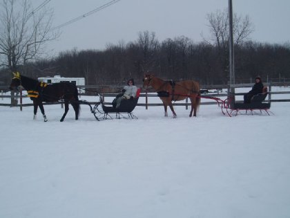 Emjy et Stella en sleigh