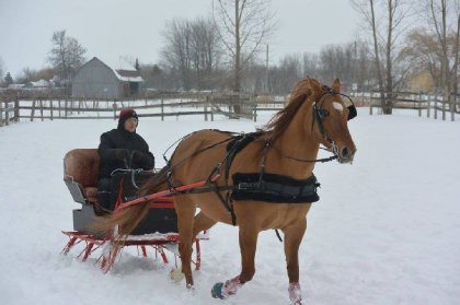 Moi et Stella en sleigh