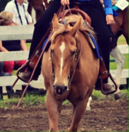 plaisance western jeunes 2015