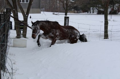 bb qui samuse dans la neige!