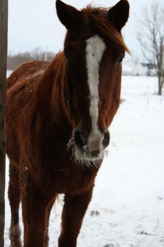 Lysa :) 