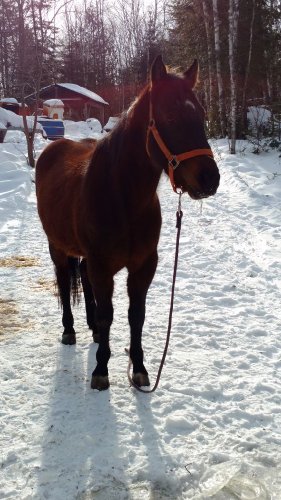 Mon bb