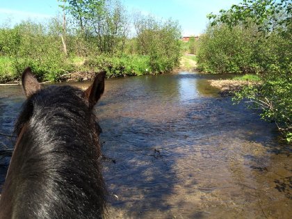 En trail avec ma belle Twinki .
