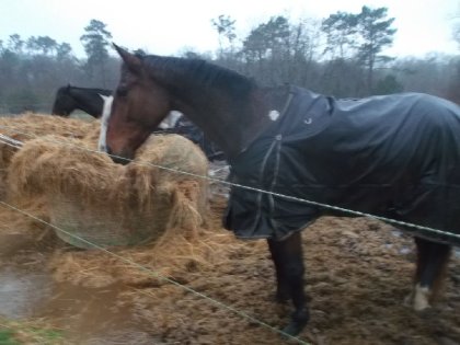 photo par Tiredaile