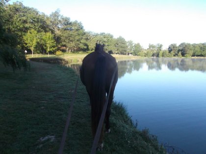 photo par Tiredaile